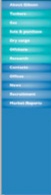 GibsonWebsite